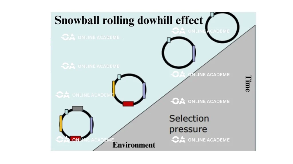 Snowball-rolling-downhill-effect